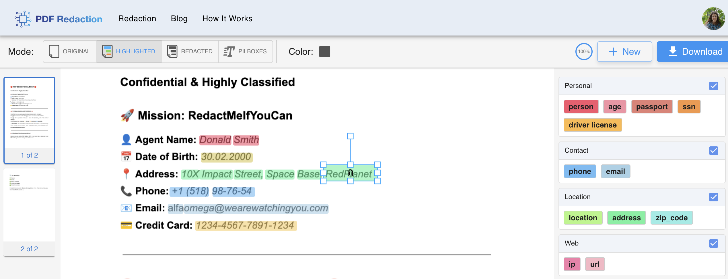 Highlighted sensitive data in a document screenshot