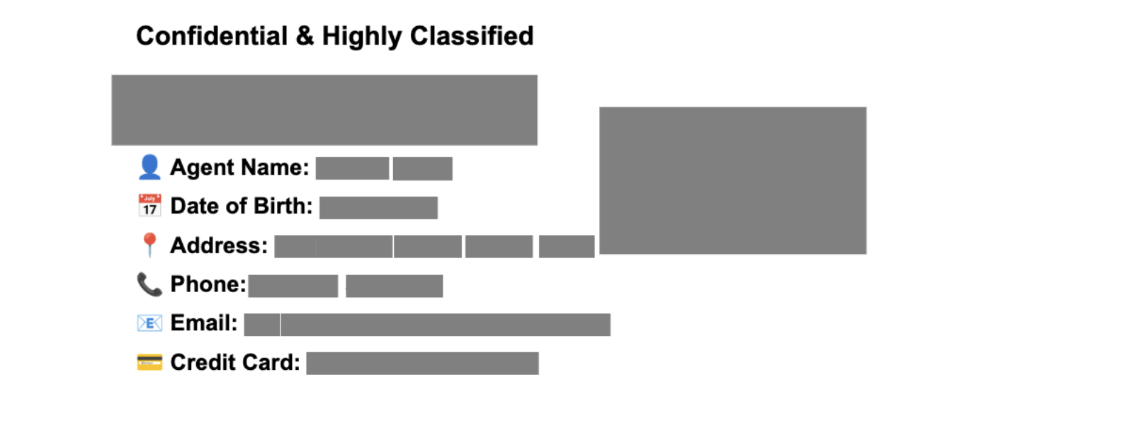 Redaction with black fill