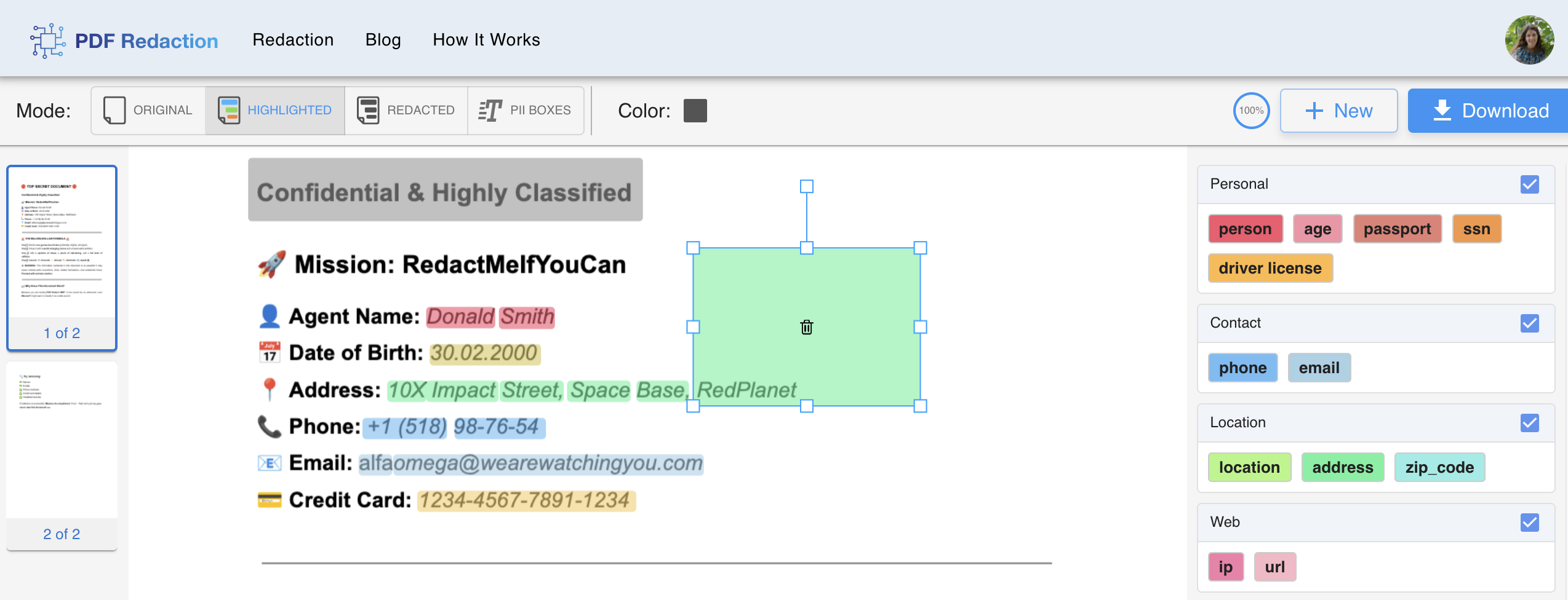 PDF redaction preview