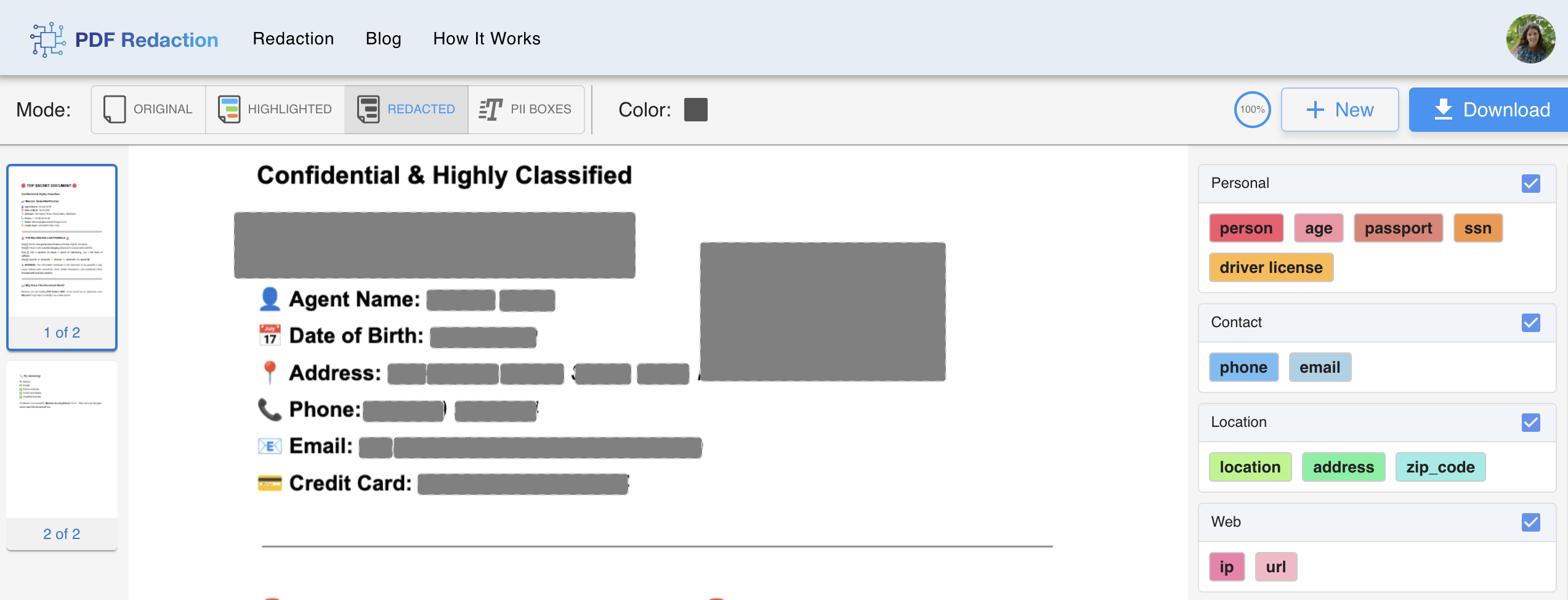 AI-Powered PDF Redaction Tool