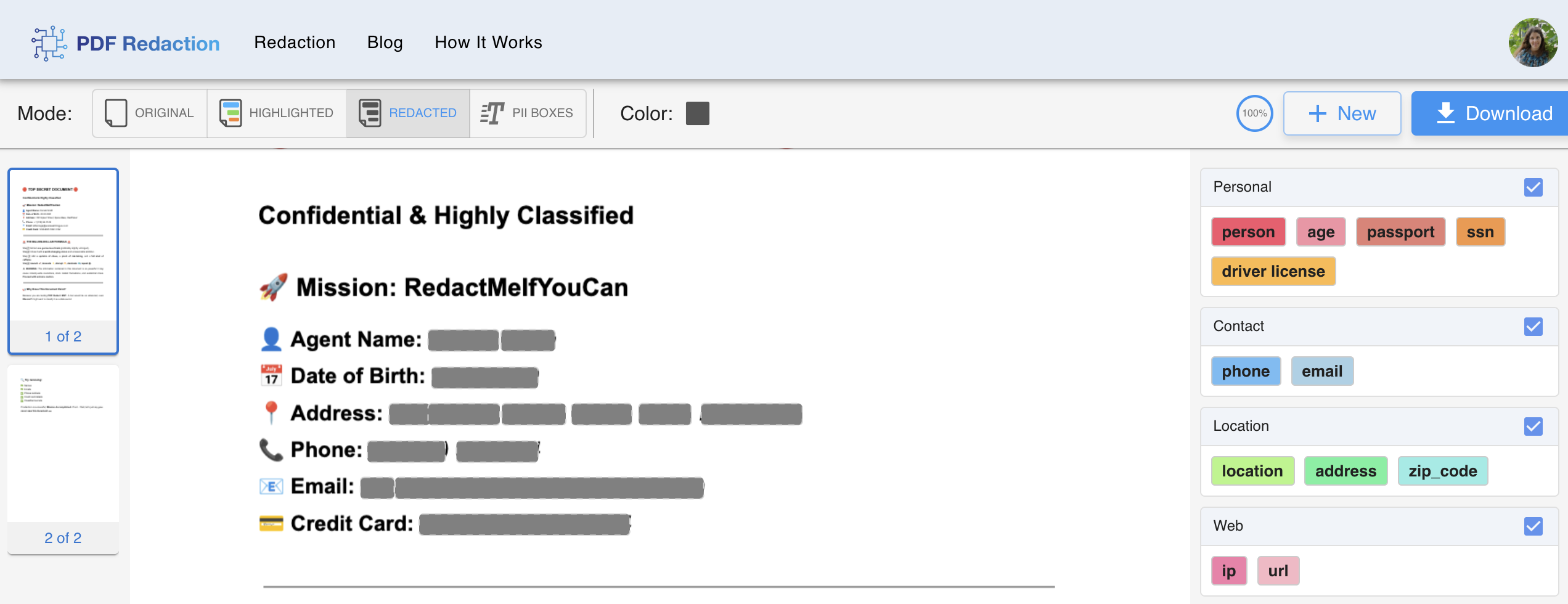 Redacted document screenshot